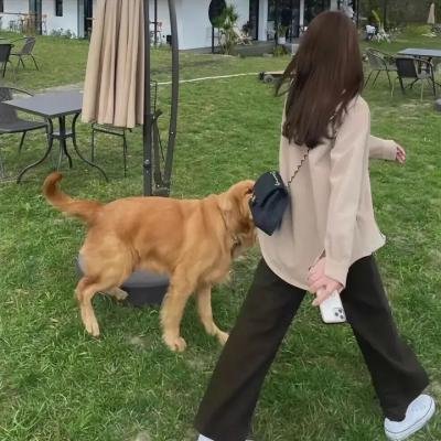 通往美好小径